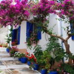 Skopelos_12