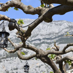 Makarska 2017, foto 3